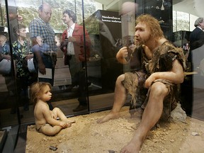 A picture taken on July 19, 2004 shows visitors of the Museum for Prehistory in Eyzies-de-Tayac looking at an attempted reconstruction of Neanderthal man and boy.
