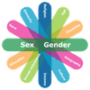 The ‘identity factors’ wheel showing all the different identities that must be considered by government workers in crafting policy.