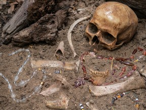 A still life of archaeological excavation with skull, bones and ancient glass beads necklace still half buried in the ground of ancient grave.