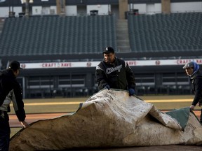 White Sox groundskeeper Nevest Coleman, center, helps Harry Smith Jr., left, and Jerry Powe with the tarp at Guaranteed Rate Field in Chicago,Monday, March 26, 2018. The Chicago Tribune reports that DNA evidence led prosecutors last year to vacate the conviction of 49-year-old Nevest Coleman. He'd been convicted in a 1994 rape and murder. He was released from prison in November and declared innocent last month.