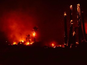 This Monday, March 26, 2018 photo provided by Steve Raines shows a fire that broke out at Joshua Tree National Park, damaging a historical landmark. The National Park Service says the fire that broke out late Monday damaged the Oasis of Mara, a site settled by Native Americans who planted the 29 palm trees that inspired the name of the city of Twentynine Palms.