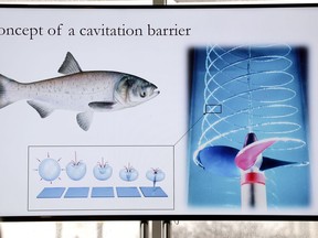 A board displaying part of Edem Tsikata's presentation  'A Cavitation Barrier to Deter Asian Carp,' is displayed as he speaks during the Carp Tank event Tuesday, March 27, 2018, in Detroit. Tsikata, a software consultant from Boston, won the competition