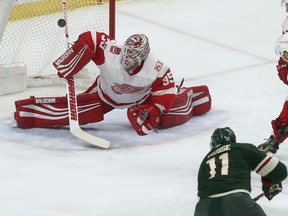 Detroit Red Wings goalie Jimmy Howard stops a shot by Minnesota Wild's Zach Parise, lower right, in the first period of an NHL hockey game Sunday, March 4, 2018, in St. Paul, Minn.