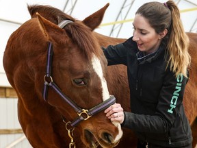 In this March 1, 2018 photo, Jane Fucinaro works with 9-year-old Wakema during an equine body work session in Blair, Neb. A bill introduced by Nebraska state Sen. Mike Groene of North Platte, proposes to exempt equine massage practitioners from state job licensing requirements. Under the current law, equine massage practitioners must have a massage therapist license or work under veterinary oversight.