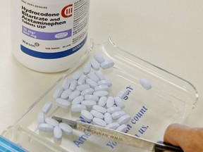 FILE - In this Aug. 5, 2010, file photo, a pharmacy technician poses for a picture with hydrocodone and acetaminophen tablets, also known as Vicodin, at the Oklahoma Hospital Discount Pharmacy in Edmond, Okla. Opioids including Vicodin and fentanyl patches worked no better than Tylenol and other over-the-counter pills at relieving chronic back pain and hip and knee arthritis in a year-long study of mostly men at Minneapolis VA clinics. Both groups had slight improvement.