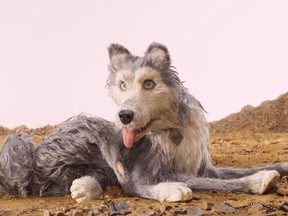 This image released by Fox Searchlight Pictures shows the character Duke, voiced by Jeff Goldblum, in a scene from "Isle of Dogs." (Fox Searchlight via AP)