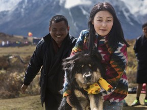 This Oct. 23, 2017 photo shows prize winning Bhutanese mastiff, Tsagay, who won the best mastiff contest at the Laya Royal Highlander Festival in Bhutan. The mastiffs are beloved in the highlands of Bhutan, where they are fierce protectors of their families when need be, but gentle and mellow the rest of the time.