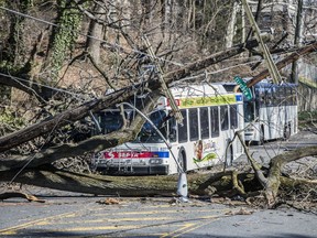 CORRECTS LOCATION TO PHILADELPHIA FROM BRYAN MAWR; - A bus is covered by a tree that collapsed onto power lines due to a storm last Friday in Philadelphia, Sunday, March 4, 2018. The road is closed until crews can clean the mess.