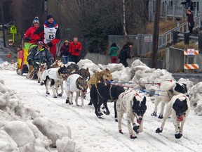 FILE - In this March 7, 2015, file photo, musher Wade Marrs of Willow, Alaska, leads his team during the ceremonial start of the Iditarod Trail Sled Dog Race in Anchorage, Alaska. Marrs, in a statement released by his kennel Tuesday, March 6, 2018, claims the head of the Iditarod's drug testing program, Dr. Morrie Craig, threatened to reveal his dogs tested positive for a banned substance. Marrs felt it was out of retaliation for the musher being vocal about how race officials have handled dog doping.