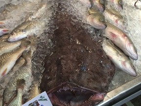 In this Sept. 9, 2016 photo, a Monkfish dwarfs other fish being are offered for sale at a market in Portland, Maine. Members of the fishing industry, regulators and environmentalists are trying to convince U.S. consumers in 2018 to eat more of the particularly weird looking fish.