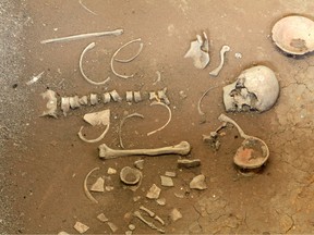 An ancient skeleton is seen in this stock image.