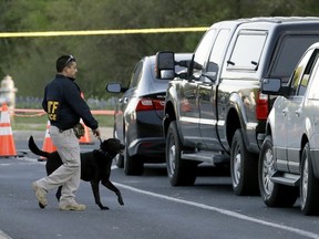 An agent the Bureau of Alcohol, Tobacco, Firearms and Explosives works with his dog near the site of Sunday's explosion, Monday, March 19, 2018, in Austin, Texas. Fear escalated across Austin on Monday after the fourth bombing this month -- this time, a blast that was triggered by a tripwire and demonstrated what police said was a "higher level of sophistication" than the package bombs used in the previous attacks.