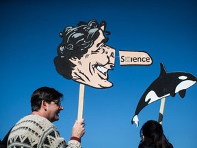 Scott McBride, of Nanaimo, B.C., holds a caricature of Prime Minister Justin Trudeau during a protest against the Kinder Morgan Trans Mountain pipeline expansion in Burnaby, B.C., on Saturday March 10, 2018. Indigenous leaders are calling on people to raise their voices Saturday to stop a $7.4 billion pipeline expansion project that pumps oil from Canada's tar sands to the Pacific Coast. The Trans Mountain pipeline expansion by the Canadian division of Texas-based Kinder Morgan would nearly triple the flow of oil from Alberta's tar sands to the Vancouver area and dramatically increase the number of oil tankers travelling the shared waters between Canada and Washington state.