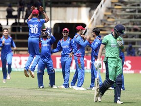 Afghanistan players celebrate the wicket of Ireland batsman Paul Stirling during their cricket world cup qualifier match at Harare Sports Club, Friday, March, 23, 2018. Zimbabwe is playing host to the 2018 Cricket World Cup qualifier matches.