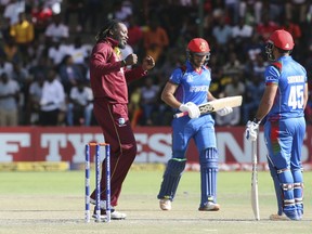 West Indies player Christopher Gayle, left, celebrates the wicket of Afghanistan batsman Rahmat Shah during their cricket world cup qualifier match at Harare Sports Club, Sunday March 25, 2018. Zimbabwe is playing host to the 2018 Cricket World Cup qualifier matches.