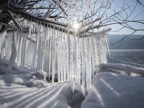 Icicles hang on a branch on the shore of  Lake Alpnachersee in Alpnach, Switzerland, on Wednesday, Feb. 28, 2018. An extreme Siberian cold snap sweeping across Europe is claiming lives in Poland and Romania, but also dusted the ancient ruins of Pompeii with snow Tuesday and prompted Amsterdam authorities to prepare the city's iconic canals for ice-skaters.