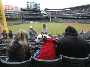 July Belz, left, and Cory Belz, right, of Fort Worth, texas, sit in left field with their dog RV, during Bark in the Park day, prior to a baseball game between the Toronto Blue Jays and the Texas Rangers, Saturday, April 7, 2018, in Arlington, Texas.