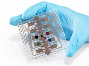 Canadian researchers have created a low-cost, portable device, shown in a handout photo, that can quickly test people to determine if they're at risk for measles or rubella in parts of the world without access to diagnostic laboratories, with the goal of preventing outbreaks of the deadly or disabling infectious diseases.