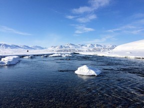 Lake Hazen on Ellesmere Island in Nunavut is viewed from the Ruggles River outflow in this May 2015 handout photo. New research that examines the effect of climate change on a remote Arctic lake concludes those ecosytems are changing more quickly and profoundly than previously thought. Canadian researchers recently published research on Lake Hazen on Ellesmere Island, one of the first studies to look at the impacts of warming on an entire Arctic ecosystem.