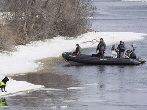 A specially trained dog on loan from the RCMP in Halifax, Nova Scotia, scans a river bank in Montreal on March 30, 2018. Police have decided to stop searching the frigid waters along Montreal's north shore for a 10-year-old boy who went missing three weeks ago. Insp. Ian Lafreniere says Montreal police will continue land searches and are still encouraging the public to come forward with any information on the whereabouts of Ariel Jeffrey Kouakou. HE CANADIAN PRESS/Graham Hughes