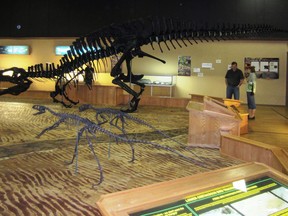 The Dinosaur Discovery Gallery at the Tumbler Ridge Museum Foundation is seen in this undated handout photo.
