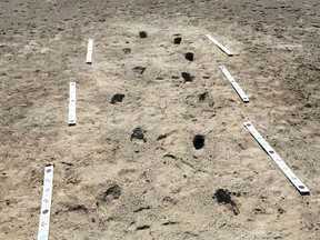 Two human footprint trackways at White Sands National Monument. The ancient walkers made prints in deposits of lake sediment, which were covered over time by a half-inch layer of sand.