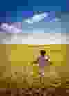 Boy walking through large wheat field