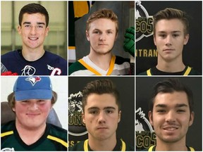 humboldt victims