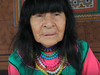 Peruâs ombudsman has condemned the death of the Indigenous elder in a series of tweets, describing Arevalo Lomas as a champion of her peopleâs cultural rights.