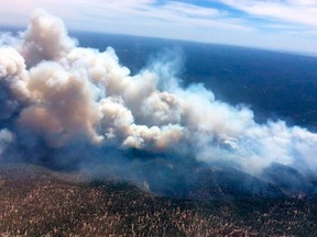 This April 29, 2018 aerial photo provided by the U.S. Forest Service shows a wildfire burning in north-central Arizona. The wildfire has grown and firefighters expect that winds and dry conditions may cause it to increase in size.