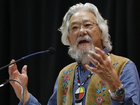 David Suzuki pictured on November 29, 2016.