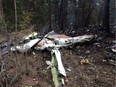Wreckage of a Cessna Citation which crashed on Oct. 13, 2016, is seen in the woods near Lake Country, B.C., in this Transportation Safety Board handout image.