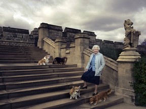 Queen Elizabeth II is seen walking in the private grounds of Windsor Castle with four of her dogs: clockwise from top left Willow (corgi), Vulcan (dorgie), Candy (dorgie) and Holly (corgi).