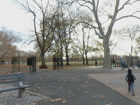 A dismembered body was found in Canarsie Park in Brooklyn, N.Y.