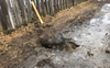 A Sudbury man needed police help to escape from this sinkhole in his backyard.