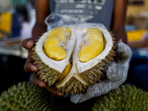 FILE - In this Nov. 25, 2017, file photo, a cut Musang King durian is shown by a vendor during the International Durian Cultural Tourism Festival in Bentong, Malaysia. The pungent smell of the rotten durian fruit at the Royal Melbourne Institute of Technology university campus library in Melbourne, Australia, on Saturday, April 28, 2018, was mistaken for a gas leak, prompting an evacuation of the building. Specialist crews wearing masks searched the library, but all they found was rotting durian in a cupboard. About 600 staff and students cleared the building.
