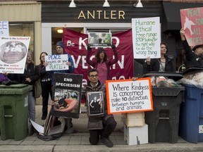 A group of animal rights protesters hold signs on the sidewalk in front of Antler Kitchen and Bar in Toronto on April  12.