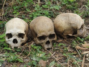 Human skulls lie on March 24, 2014 in the southweatern Nigerian city of Ibadan, on the bush path where rotting bodies and skeletons were discovered in an abandoned building.  The grisly discovery came after a group of motorcycle taxi riders reported that some of their members had gone missing and were believed to have been kidnapped.