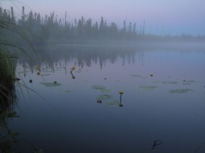 The Birch Mountain Wetlands are shown in a handout photo. Alberta is creating the world's largest boreal forest preserve with the announcement of a series of new wildland parks in the province's northeast. The five new or expanded areas adjoin Wood Buffalo National Park and add up to 13,000 square kilometres of forest, wetland, lakes and rivers.