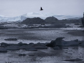 A fisherman drives a boat near the Arctic Circle in Ilulissat, Greenland.