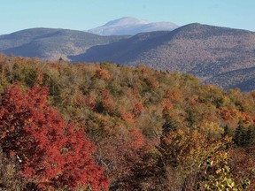 FILE - In this Oct. 9, 2013, file photo, leaves begin to change color along the Presidential Range in the White Mountain National Forest, visible from Hart's Location, N.H. Officials are noting the 100th anniversary of the federal acquisition of the forest with an art exhibit and other events throughout 2018 to celebrate "the people's forest."