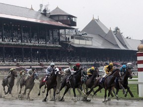 Intense exercise is a hazard to racehorses in Ontario and has been linked to hundreds of deaths within the industry, according to a new study from the University of Guelph. Horses race at Saratoga Race Course in Saratoga Springs, N.Y., Wednesday, July 23, 2008.