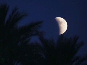 Palm branches frame the moon as earth's shadow begins to obscure the view of a so-called supermoon during a total lunar eclipse as seen from Tempe, Ariz.,Sunday, Sept. 27, 2015. A Canadian scientist is calling for action to protect significant geological and historical features on the moon, Mars, and other planets.