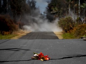 FILE - In this May 19, 2018 file photo, flowers are placed on the road as a tribute to the Hawaiian volcano goddess Pele in the Leilani Estates subdivision near Pahoa, Hawaii. While Hawaii Island features two massive volcanoes, with the highest, Mauna Kea, reaching nearly 14,000 feet (4,265 meters) above sea level and sometimes capped with snow, Kilauea is far less prominent. But because it's been active since 1983, the volcano's fiery flow of lava into the sea has been a popular cruise destination for photographers and tourists.