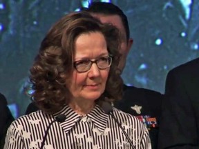Gina Haspel Deputy Director of the CIA,  speaks at the 2017 William J. Donovan Award Dinner in Washington, DC, in this October 2017 videograb still.