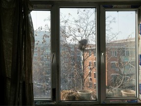 The view through a window in Han's apartment.