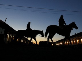 Horses make their way back to the barn after an early morning workout at Churchill Downs Monday, April 30, 2018, in Louisville, Ky. The 144th running of the Kentucky Derby is scheduled for Saturday, May 5.