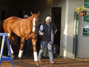 Justify, led by trainer Bob Baffert, emerges from Barn 33 to meet the public the morning after winning the 144th Kentucky Derby at Churchill Downs in Louisville, Ky., Sunday, May 6, 2018.