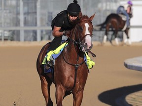 Kentucky Derby and Preakness winner Justify, ridden by exercise rider Humberto Gomez, works out at Churchill Downs, Thursday, May 24, 2018, in in Louisville, Ky./Courier Journal via AP)