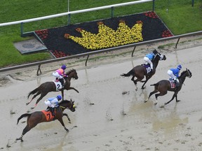 Horses run during the second race ahead of the 143rd Preakness Stakes horse race at Pimlico race track, Saturday, May 19, 2018, in Baltimore.
